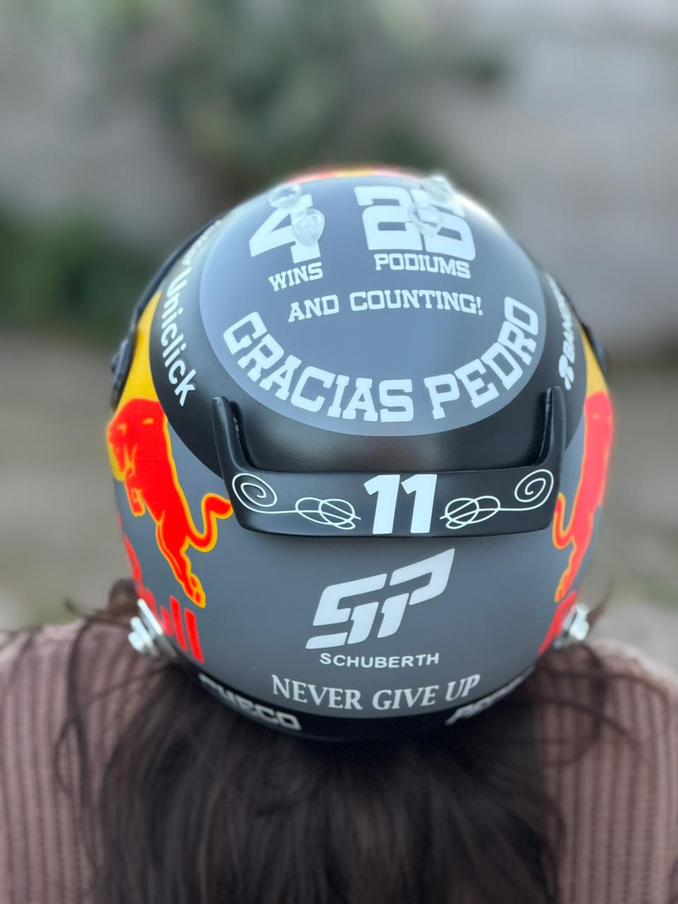 Red Bull Racing Replica Helmet – Full Scale Handmade Collectible