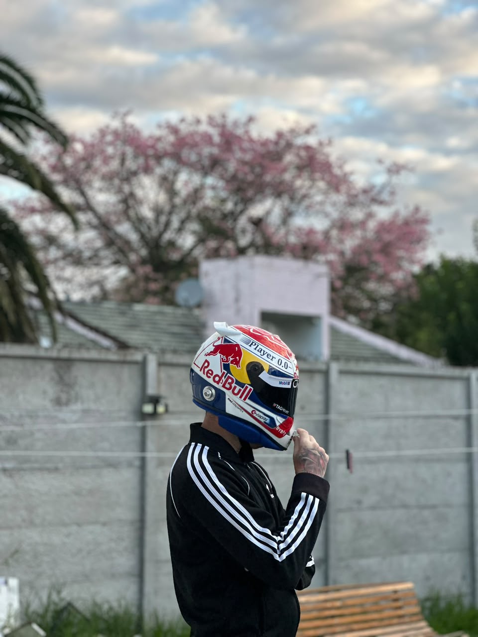 Max Verstappen 2024 F1 Helmet Replica 1:1 – Decorative Display Helmet