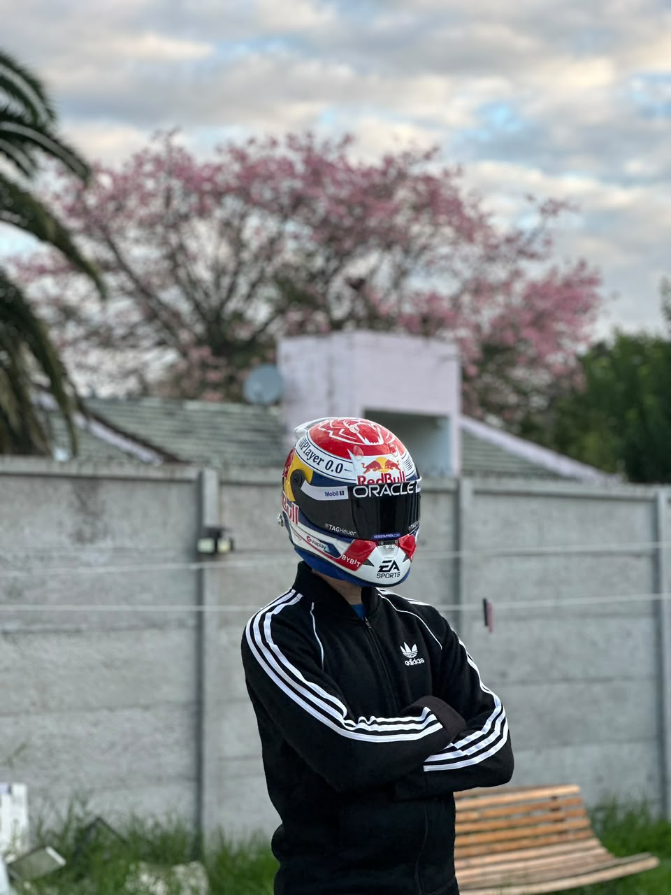 Max Verstappen 2024 F1 Helmet Replica 1:1 – Decorative Display Helmet