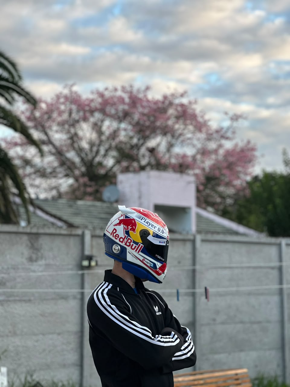 Max Verstappen 2024 F1 Helmet Replica 1:1 – Decorative Display Helmet